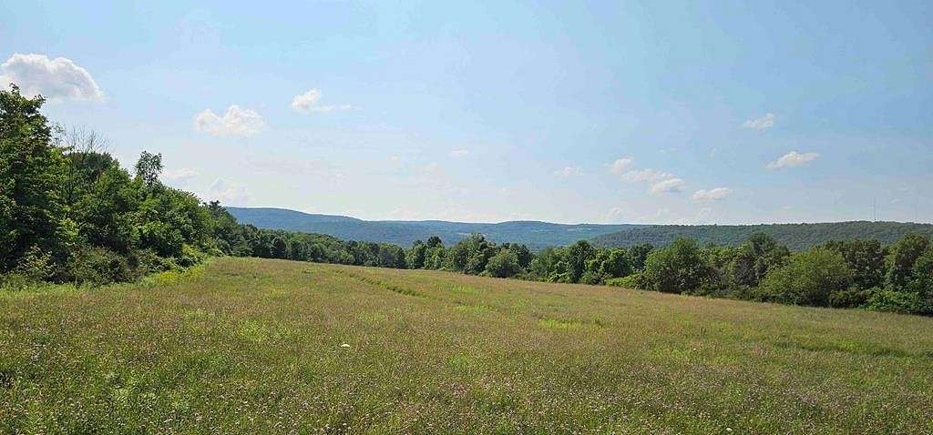 40 Acres of Agricultural Land for Sale in Newfield, New York