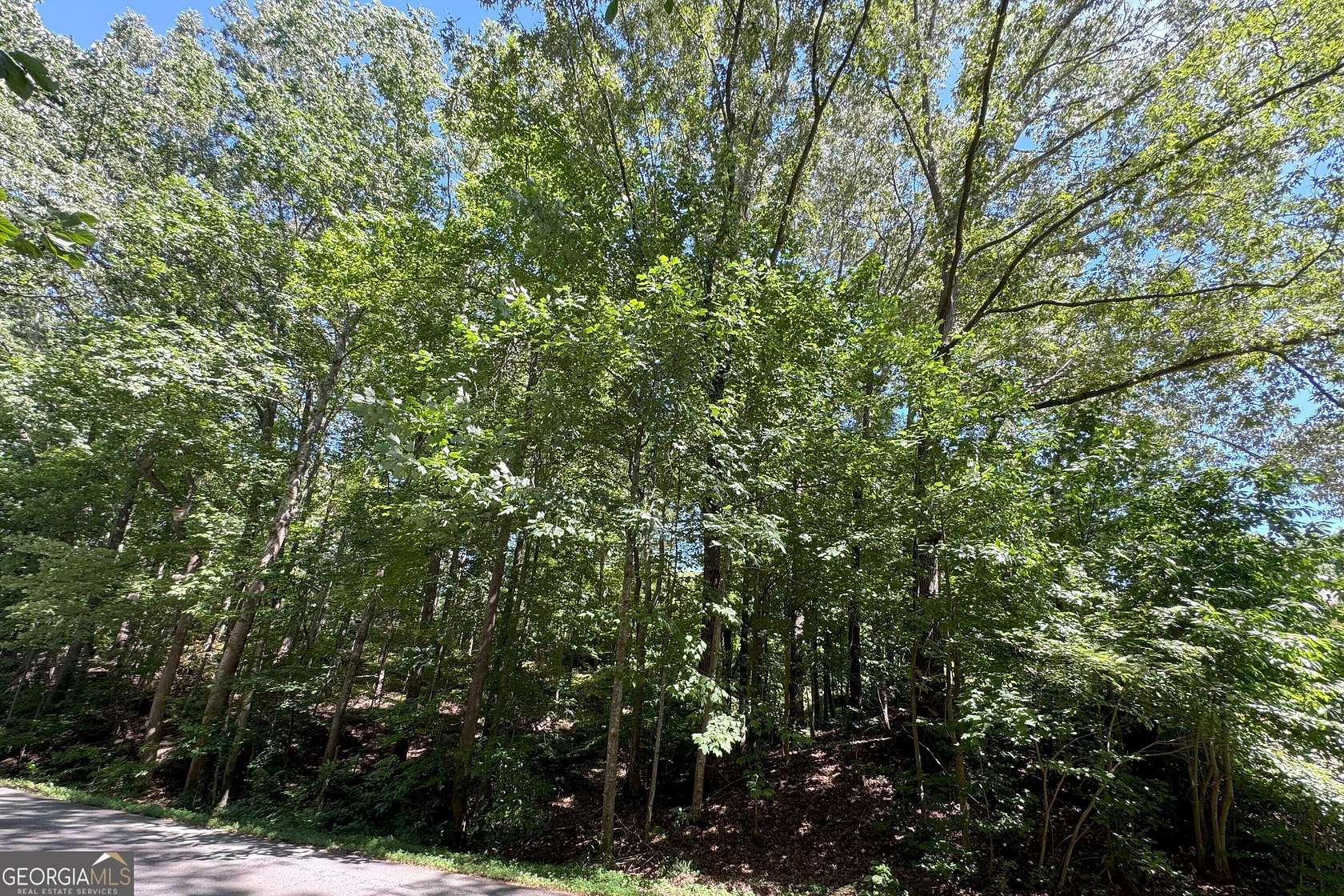 0.7 Acres of Residential Land for Sale in Toccoa, Georgia