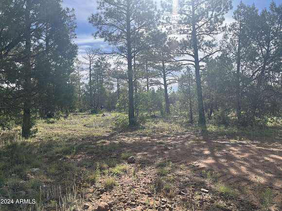 0.24 Acres of Residential Land for Sale in Lakeside, Arizona