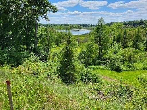 5 Acres of Residential Land for Sale in Grass Lake, Michigan