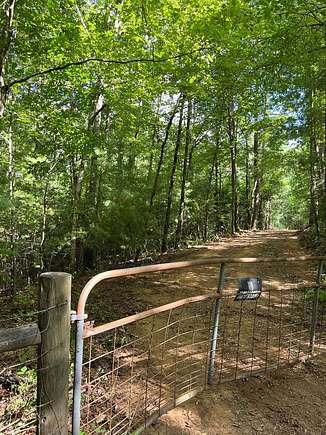 104.65 Acres of Recreational Land for Sale in Mineral Bluff, Georgia
