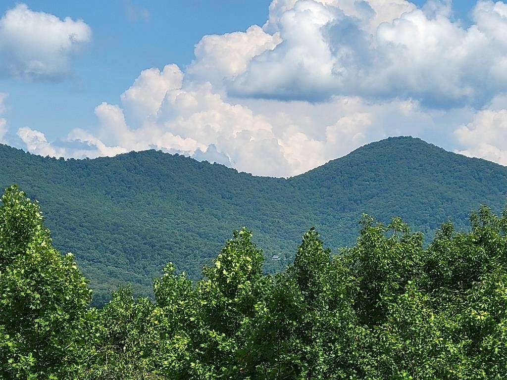 1 Acre of Land for Sale in Blairsville, Georgia