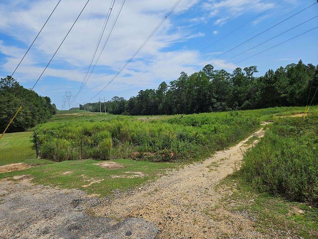 9.9 Acres of Residential Land for Sale in Carriere, Mississippi