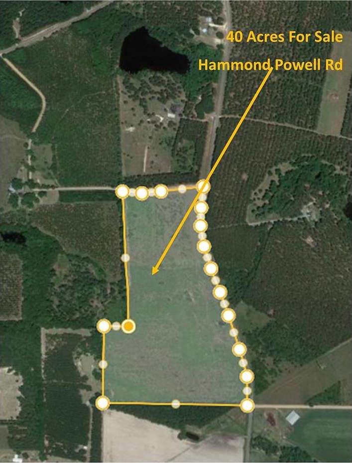 40 Acres of Agricultural Land for Sale in Hazlehurst, Georgia