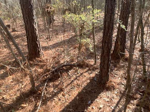 20 Acres of Recreational Land for Sale in Wesson, Mississippi