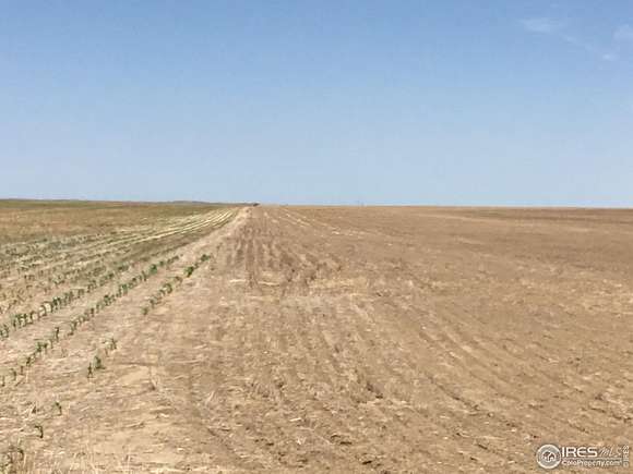 320 Acres of Agricultural Land for Sale in Woodrow, Colorado