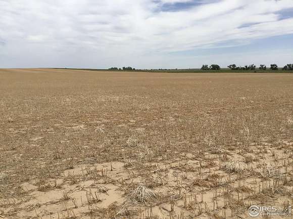 320 Acres of Agricultural Land for Sale in Woodrow, Colorado