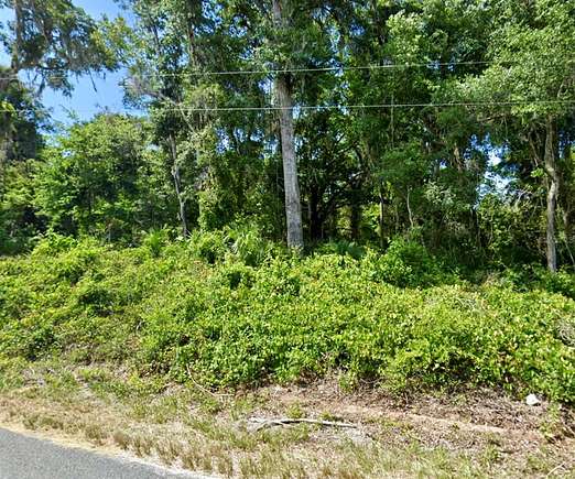 0.29 Acres of Residential Land for Sale in Summerfield, Florida
