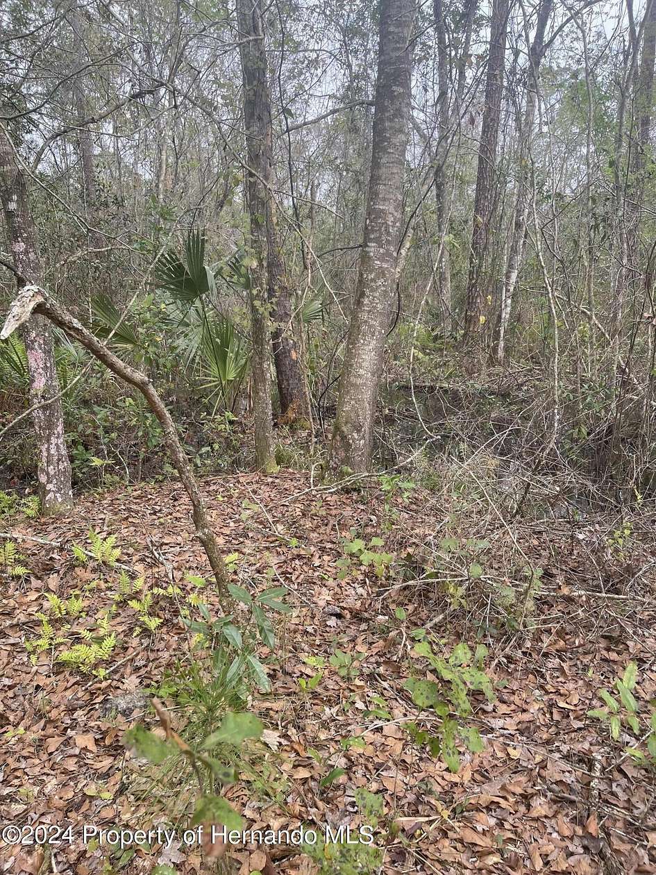 0.459 Acres of Residential Land for Sale in Weeki Wachee, Florida
