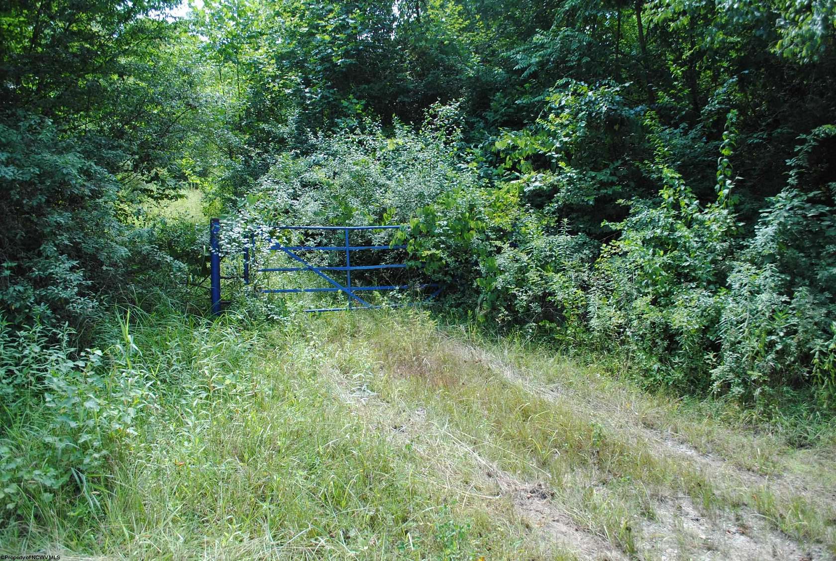 10.5 Acres of Recreational Land for Sale in Belington, West Virginia