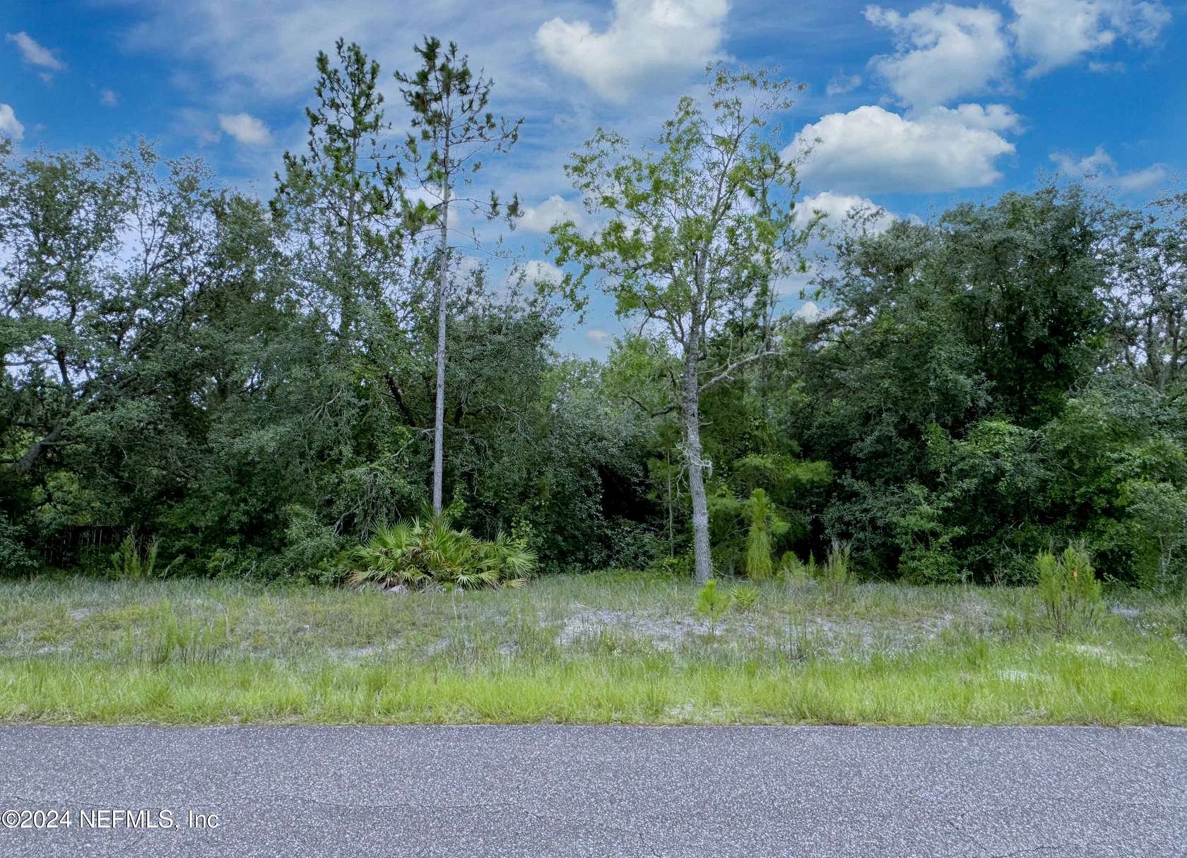 0.5 Acres of Residential Land for Sale in Hollister, Florida