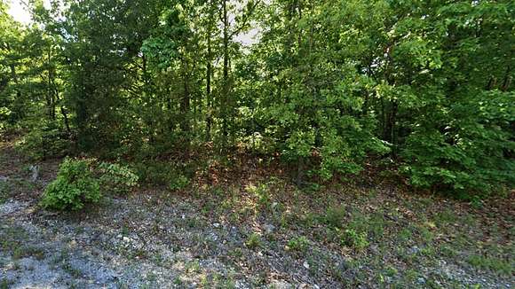 0.31 Acres of Residential Land for Sale in Horseshoe Bend, Arkansas