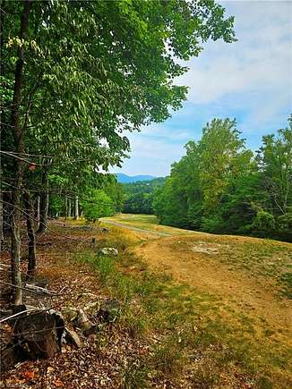 1 Acre of Residential Land for Sale in Traphill, North Carolina