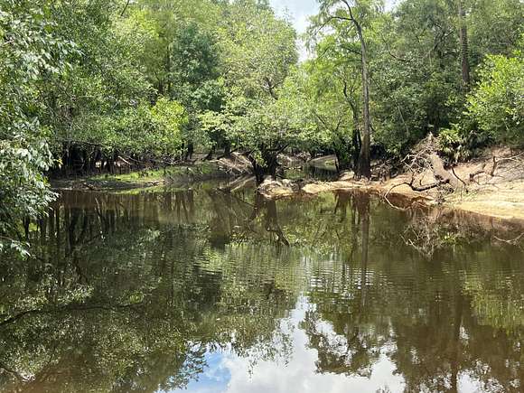 156.067 Acres of Recreational Land for Sale in Blackshear, Georgia