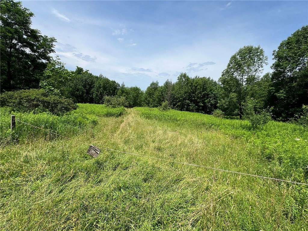 57.42 Acres of Recreational Land for Sale in Nunda, New York