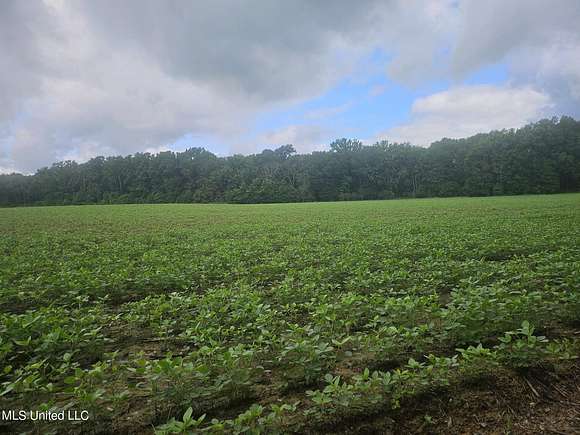 17 Acres of Land for Sale in Canton, Mississippi