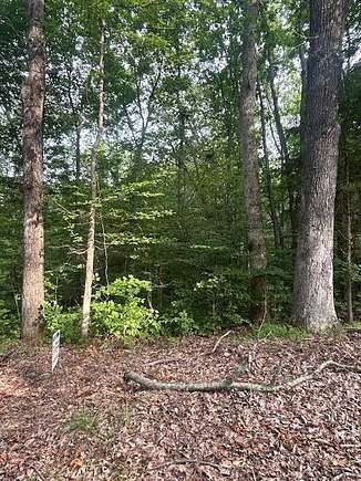 10 Acres of Recreational Land for Sale in Mount Sherman, Kentucky