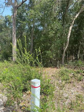 0.22 Acres of Land for Sale in Inverness, Florida