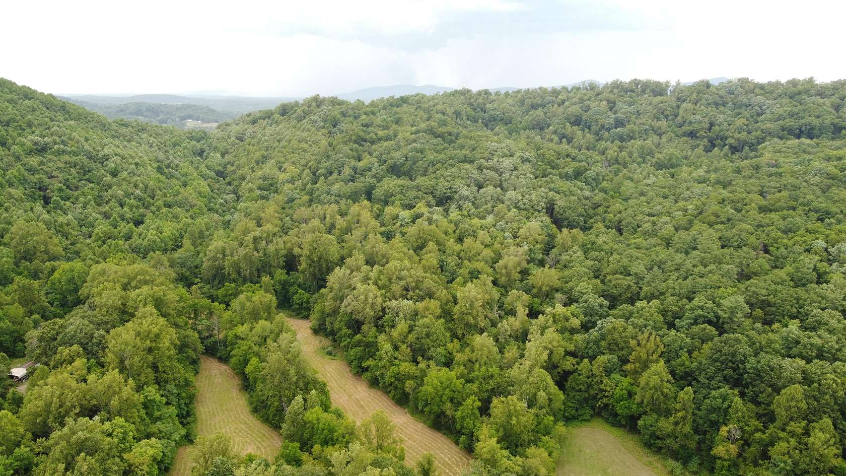45.01 Acres of Recreational Land for Sale in Hardy, Virginia