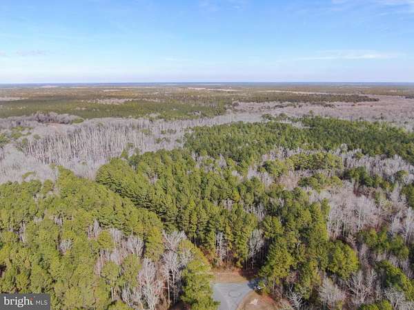 13 Acres of Land for Sale in Snow Hill, Maryland