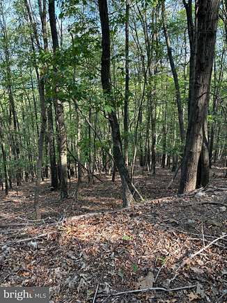 5.01 Acres of Land for Sale in Great Cacapon, West Virginia