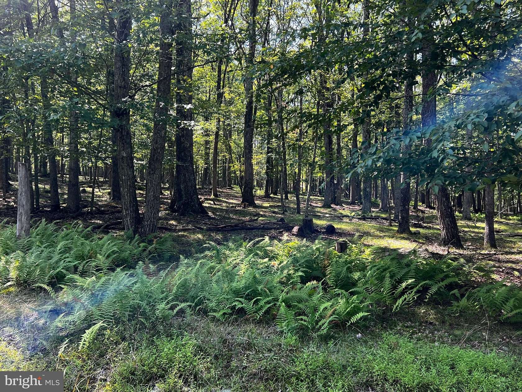 0.59 Acres of Land for Sale in Lords Valley, Pennsylvania