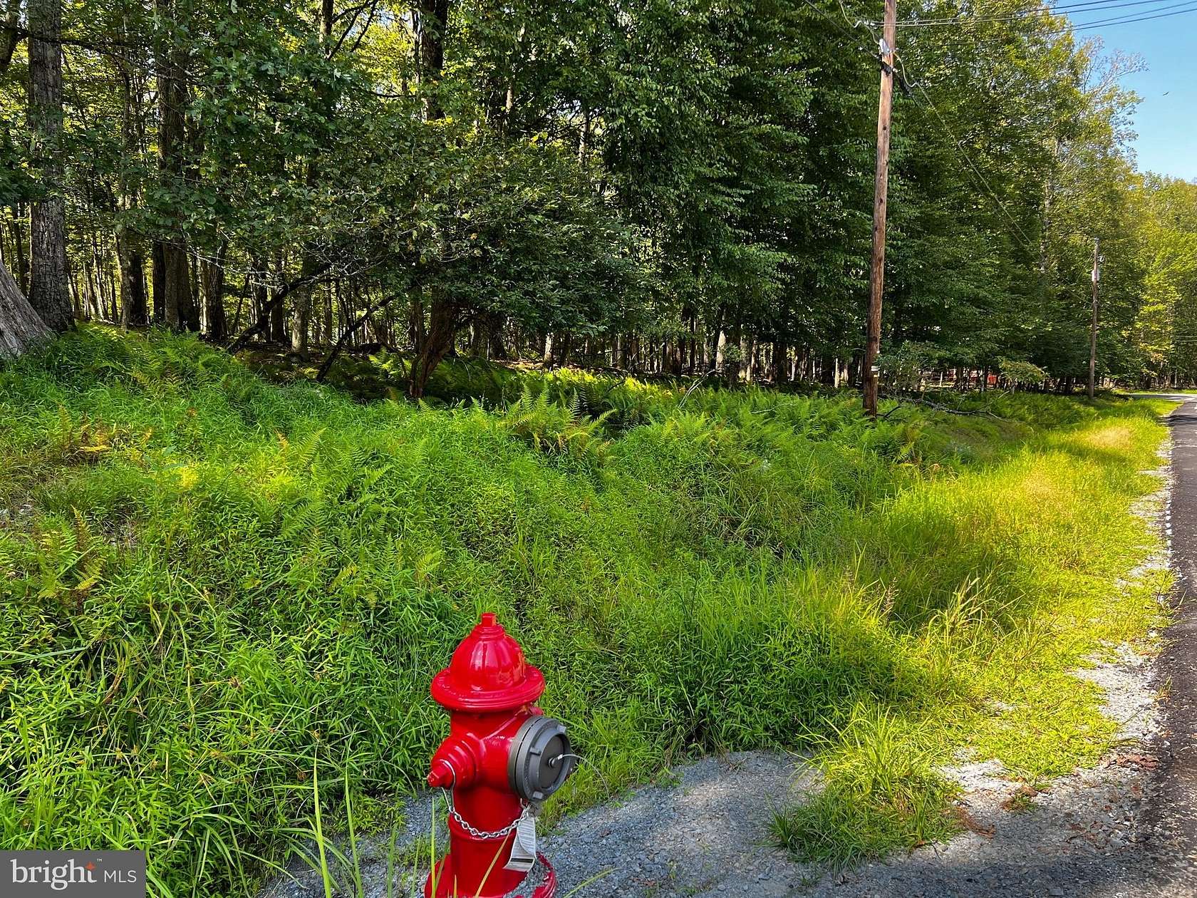 0.59 Acres of Land for Sale in Lords Valley, Pennsylvania