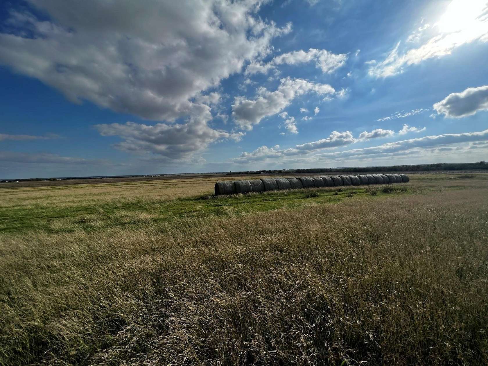 200 Acres of Improved Recreational Land & Farm for Sale in Thorndale, Texas