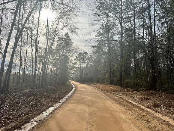 18 Acres of Land for Sale in Waynesboro, Mississippi