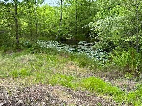 Land for Sale in Guin, Alabama