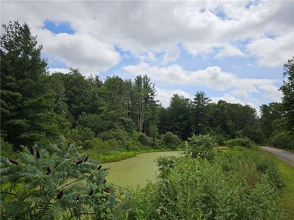 0.73 Acres of Residential Land for Sale in Angelica, New York