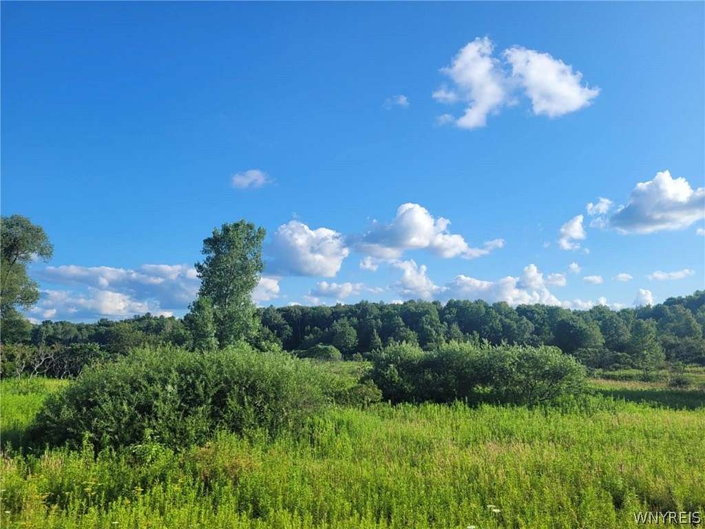 23.9 Acres of Recreational Land for Sale in Cold Spring, New York