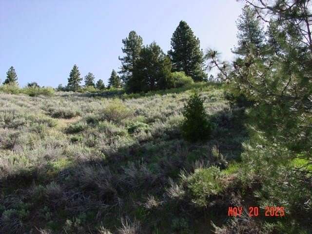 0.46 Acres of Residential Land for Sale in Portola, California