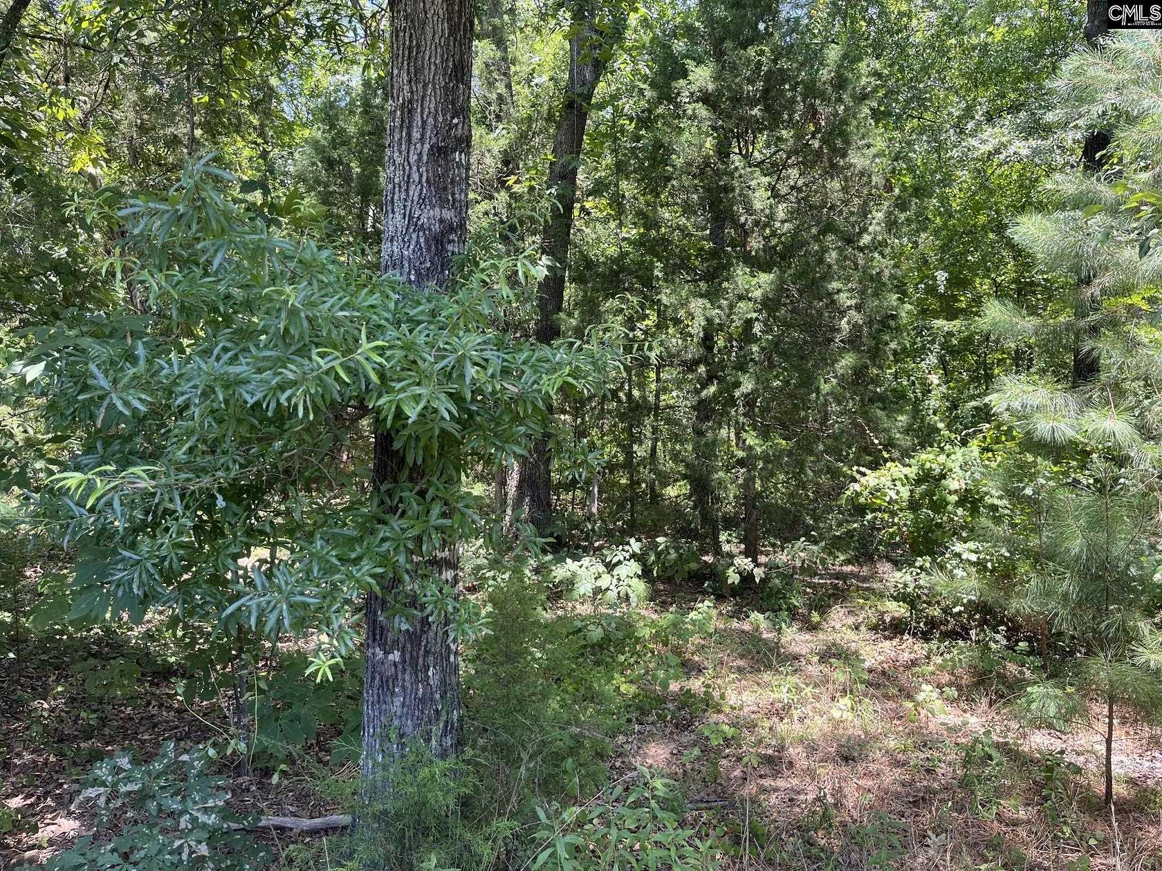 3.56 Acres of Residential Land for Sale in Newberry, South Carolina