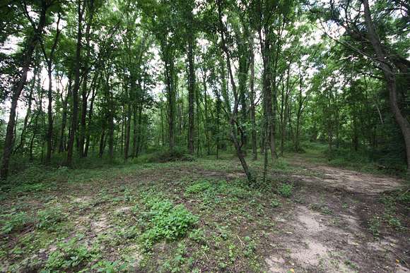 9.88 Acres of Residential Land for Sale in Mattawan, Michigan