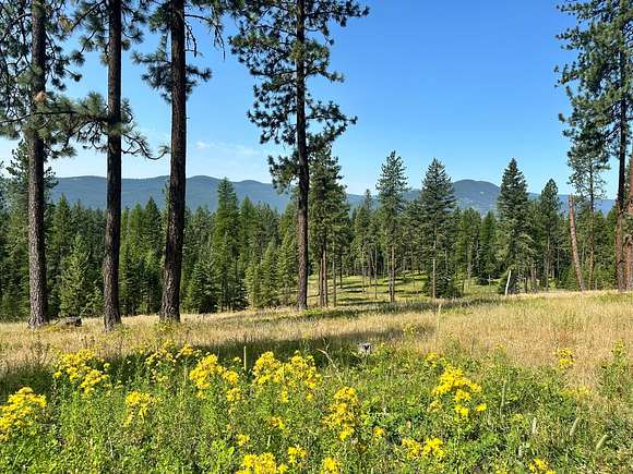 50.57 Acres of Recreational Land for Sale in Thompson Falls, Montana