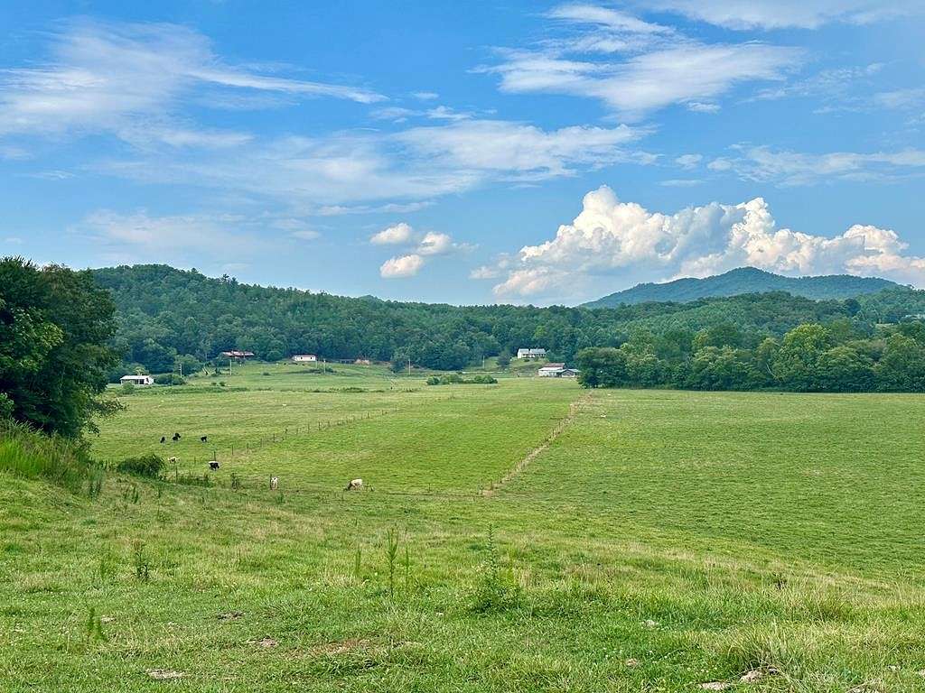 67.04 Acres of Agricultural Land for Sale in Warne, North Carolina