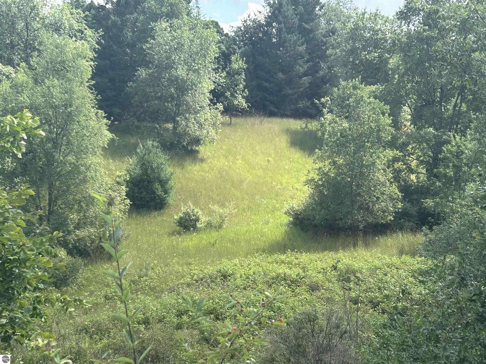 10.02 Acres of Land for Sale in Bellaire, Michigan
