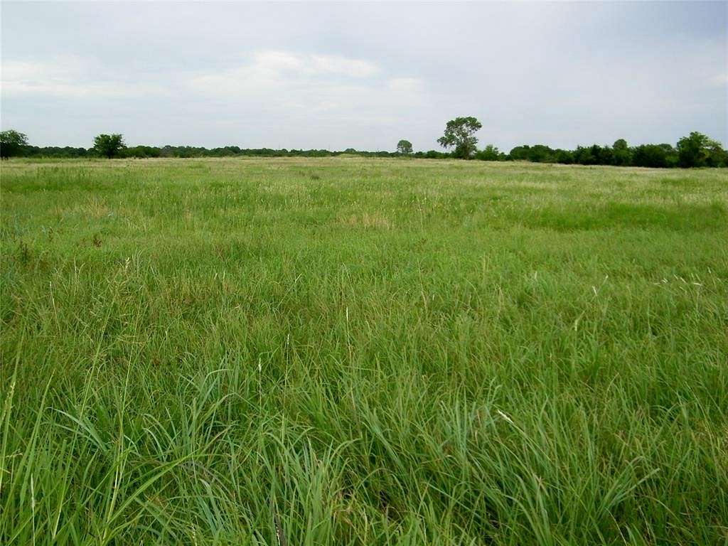 20 Acres of Agricultural Land for Sale in Wayne, Oklahoma