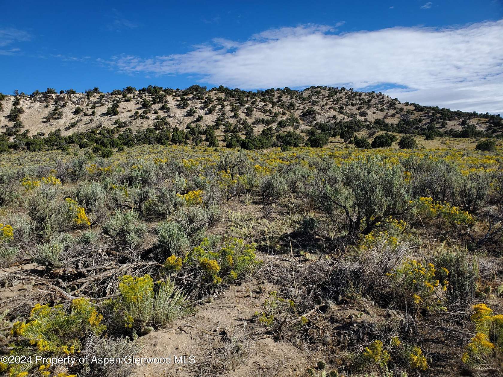 54.75 Acres of Land for Sale in Maybell, Colorado