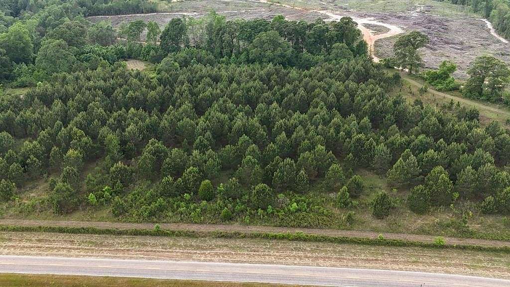 5 Acres of Residential Land for Sale in Shorterville, Alabama