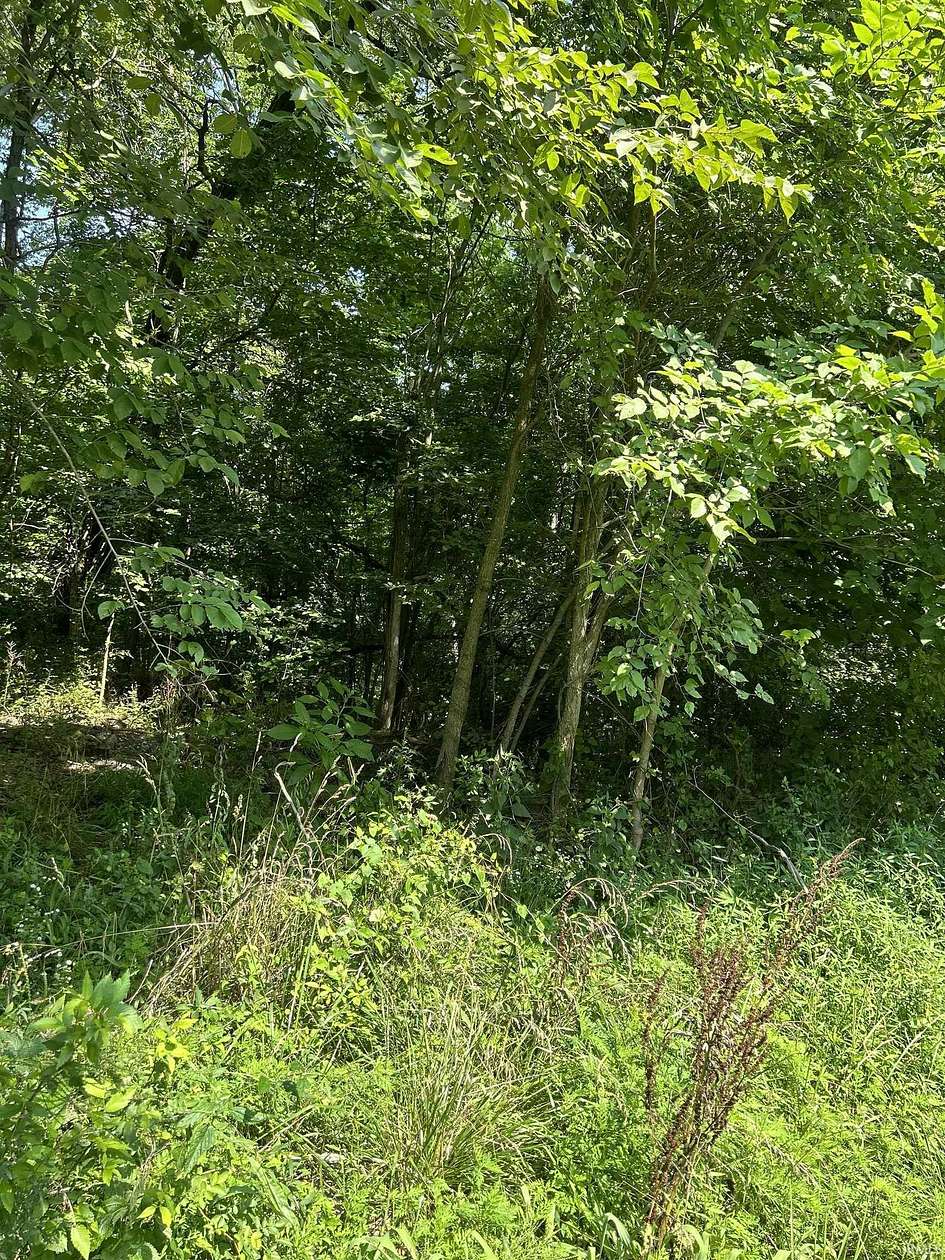 0.624 Acres of Residential Land for Sale in Shoals, Indiana