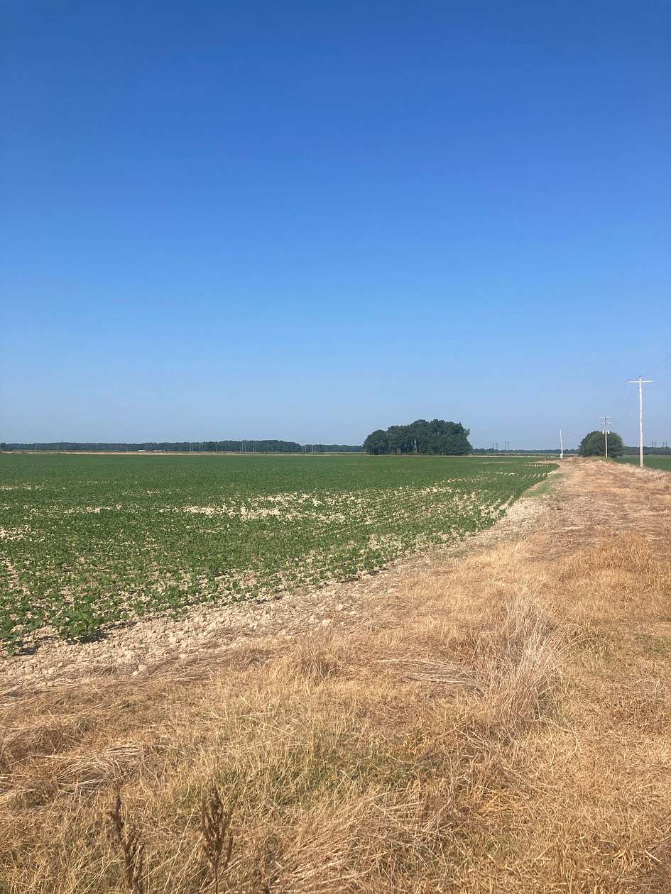 72 Acres of Agricultural Land for Sale in Brinkley, Arkansas