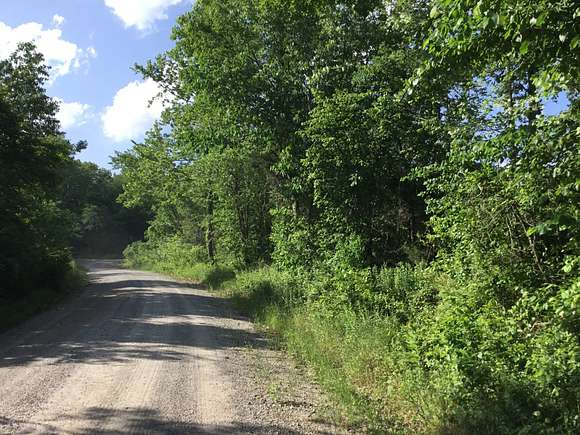 55.56 Acres of Recreational Land for Sale in Plainview, Arkansas