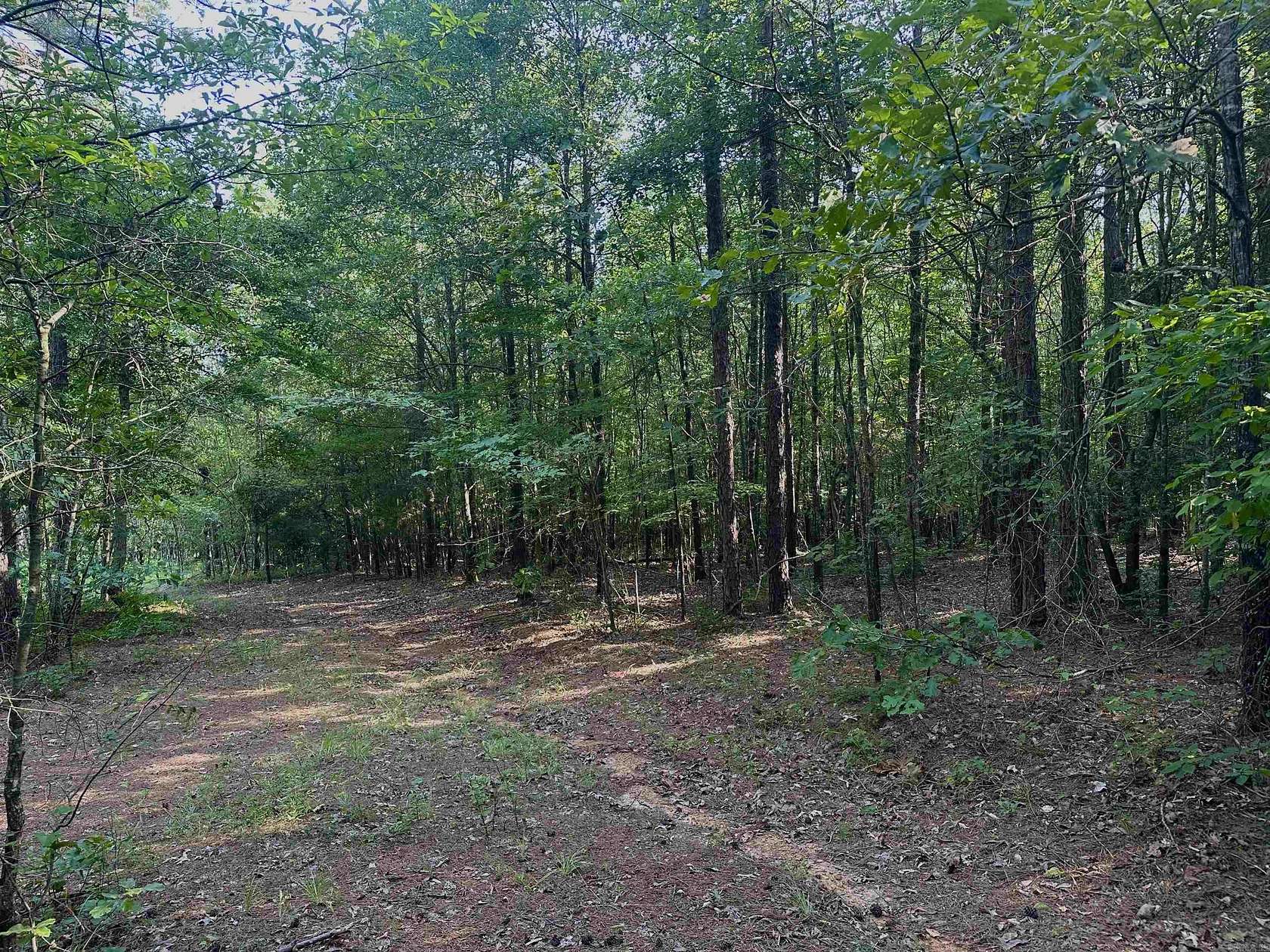 5 Acres of Residential Land for Sale in Cove, Arkansas