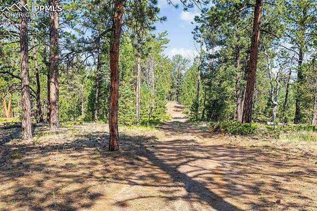 35.02 Acres of Recreational Land for Sale in Florissant, Colorado