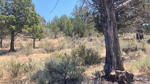 40 Acres of Recreational Land & Farm for Sale in Adin, California