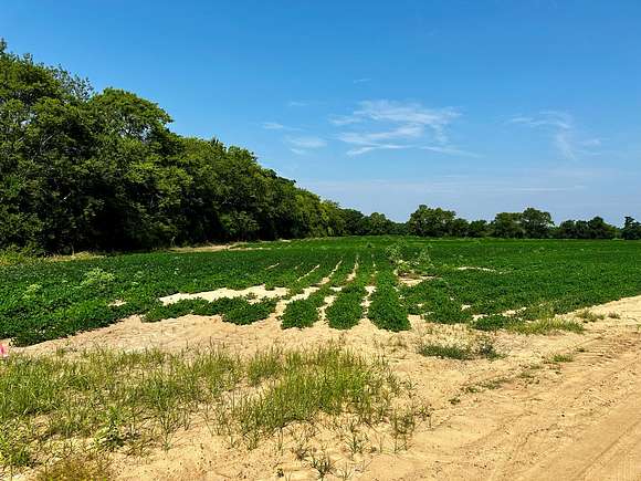 1.5 Acres of Residential Land for Sale in Headland, Alabama