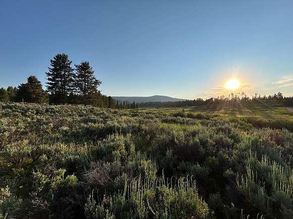 2 Acres of Residential Land for Sale in Oak Creek, Colorado