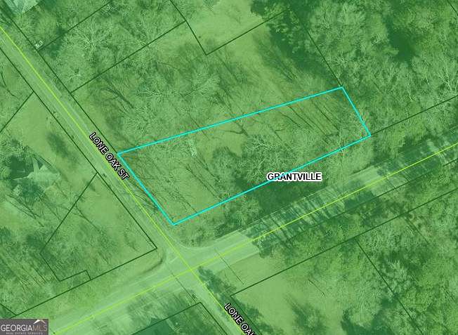 1.03 Acres of Mixed-Use Land for Sale in Grantville, Georgia